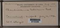 Image Associated With the Occurence